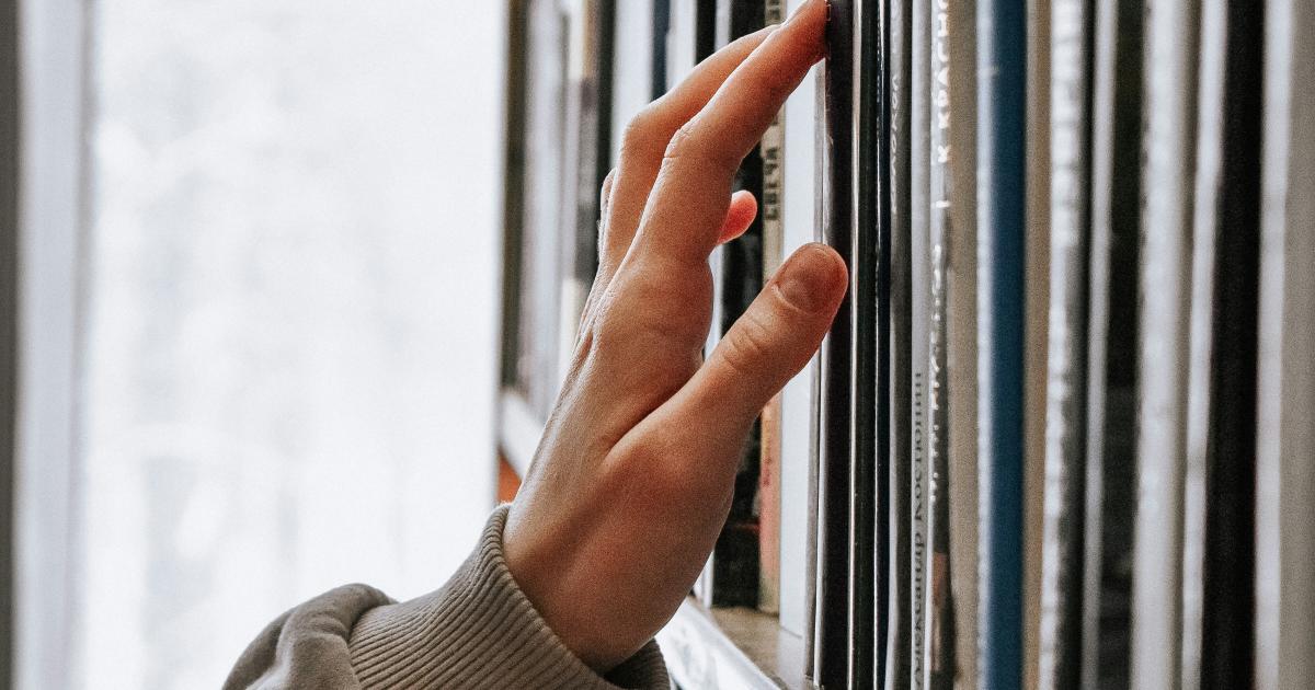 Nyt på hylderne for voksne | Stevns Bibliotekerne
